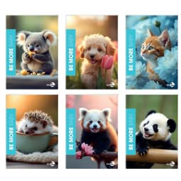 104247