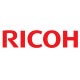 RICIMC6000Y